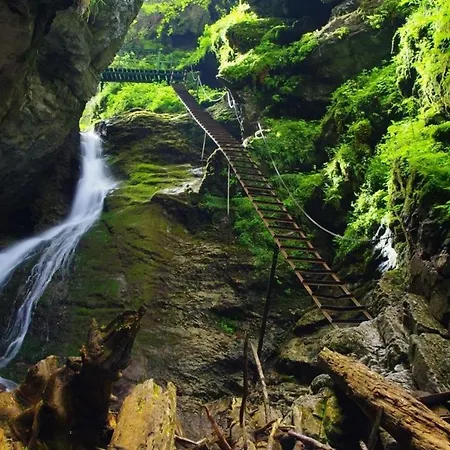Cozy Mountain Attic In High Tatras Lejlighed Vel'ka Lomnica