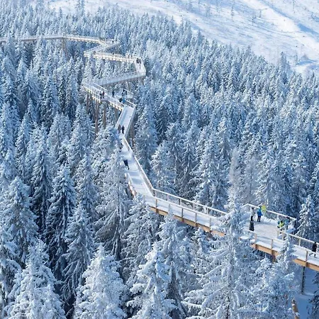 Cozy Mountain Attic In High Tatras *